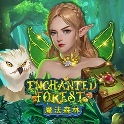 Enchanted Forest